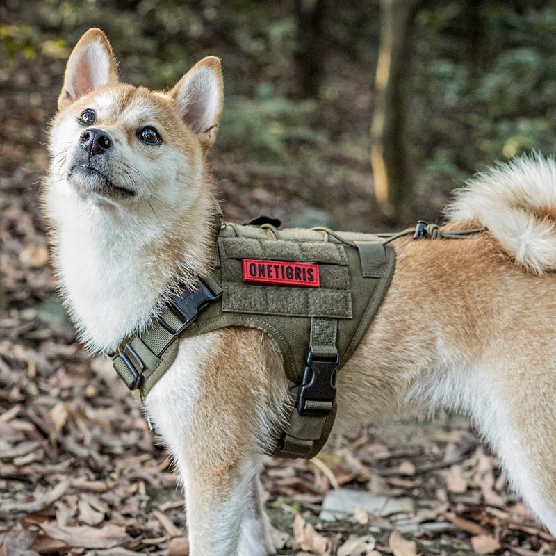 https://www.chk-shield.com/cdn/shop/products/onetigris-submariner-tactical-dog-harness-146511.jpg?v=1649091371