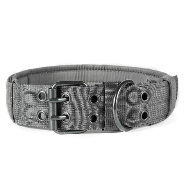 Tigris dog clearance collar